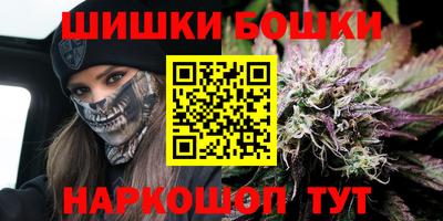 индика Ливны
