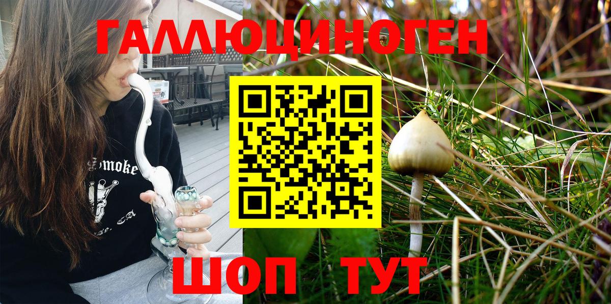 Еманжелинск  Галлюциногенные грибы Psilocybine cubensis  Вход с VPN 
